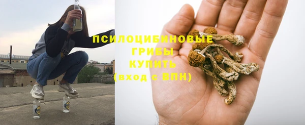 гидра Абаза