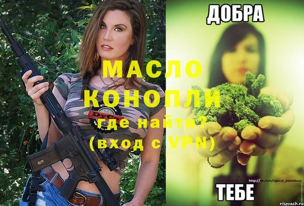 гидра Абаза