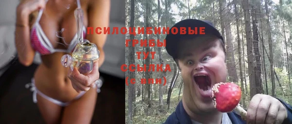 гидра Абаза