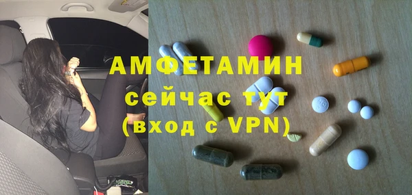 гидра Абаза