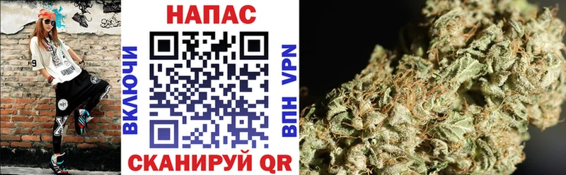 shop состав  Нахабино  Бошки Шишки Amnesia  закладка 